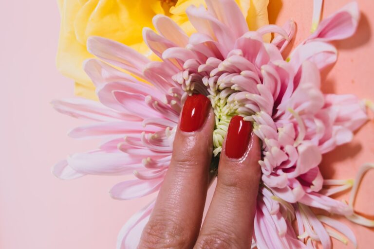 person pressing a chrysanthemum flower on pink surface